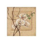 (image for) Oriental Orchids Counted Cross Stitch Kit